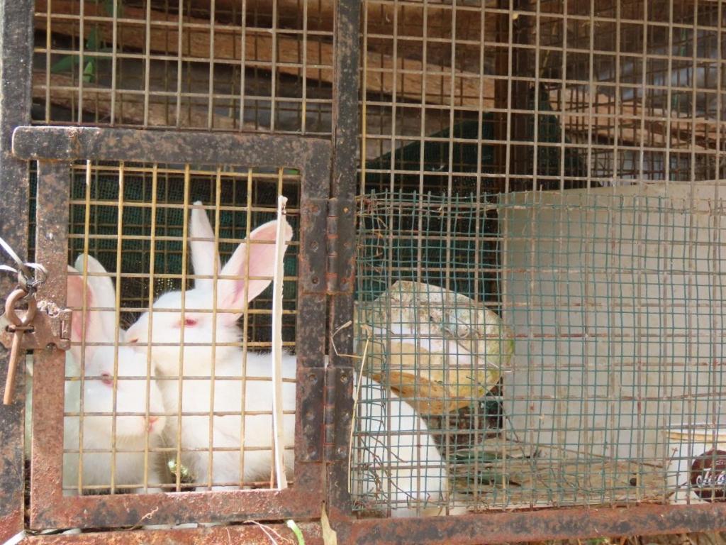 Spice Garden Farm House スルタン・バザリー エクステリア 写真